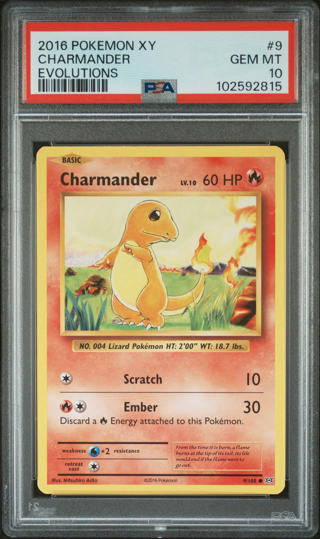 Pokemon TCG: 1x Random Graded Pokemon Card (Beckett, PSA or CGC) - Grade 8 or Higher (English or Japanese)