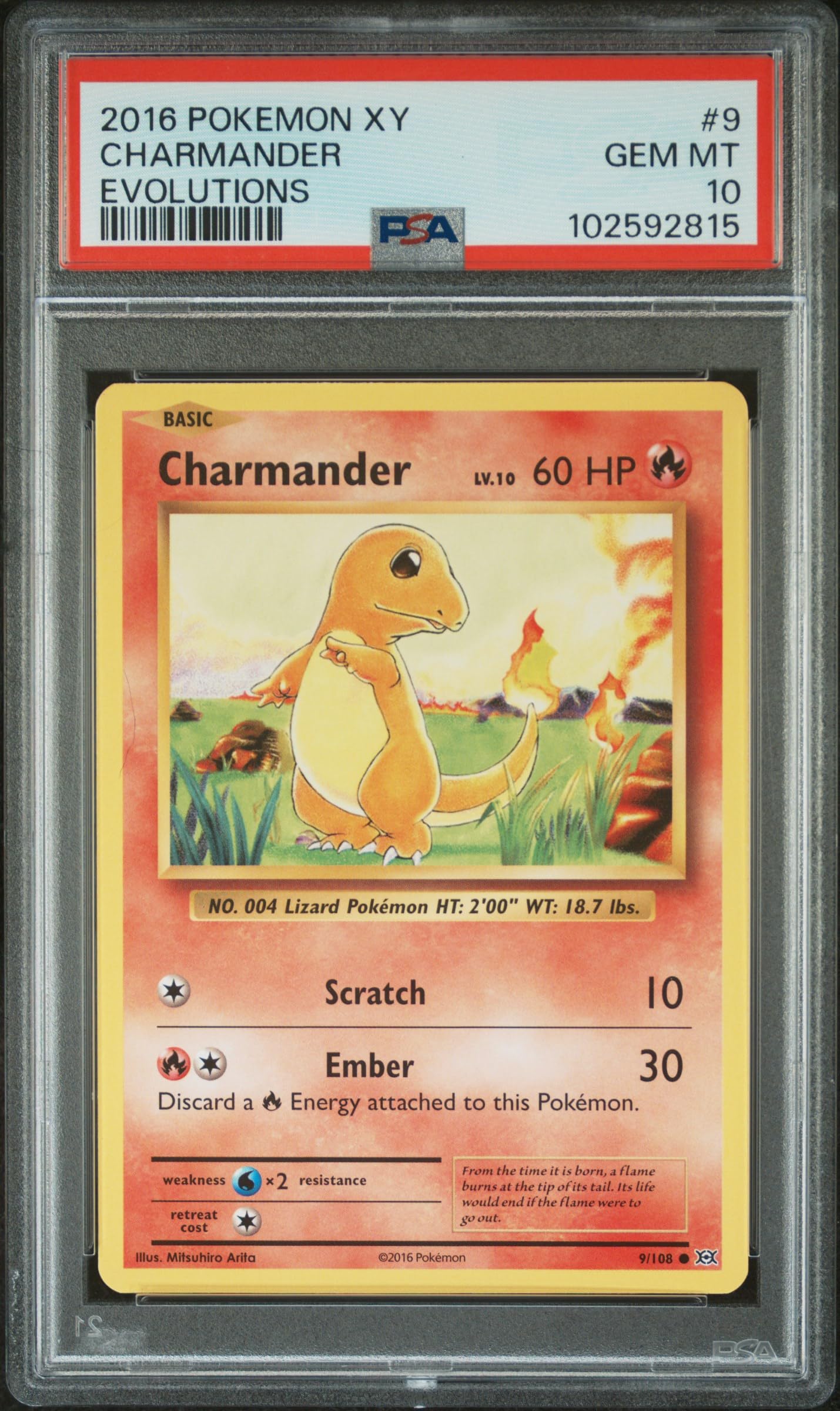 Pokemon TCG: 1x Random Graded Pokemon Card (Beckett, PSA or CGC) - Grade 8 or Higher (English or Japanese)