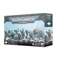 (2025 ver.) Space Wolves: Grey Hunters